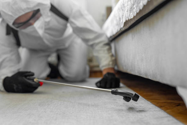 Professional Termite Control technician working in Lucas County County, IA